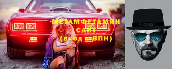 прущие грибы Ельня