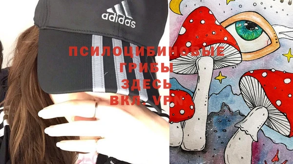 кокс Богданович