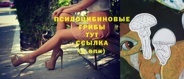 метадон Богородск