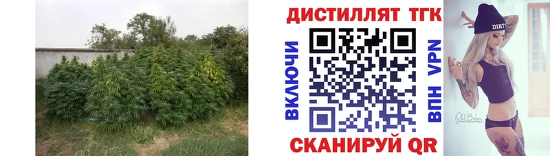 Дистиллят ТГК THC oil  МЕГА как зайти  Полесск  цены наркотик 